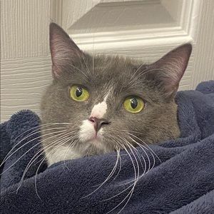 Meet your Posher, Andrew